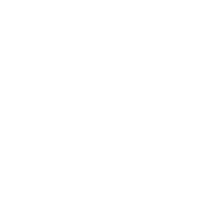 はじめての薪ストーブ My first wood stove